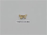 藏品(螟蛾197)的圖片